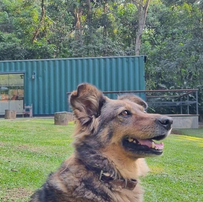 サンパウロ Casa Container Na Represa De Guarapiranga! Sonho!ヴィラ エクステリア 写真